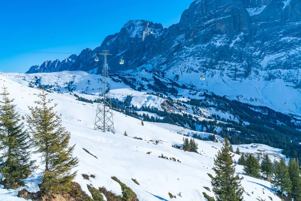 Grindelwald First Switzerland Ianuarie 2020 Peisaj Iarnă Primul Munte Din — Fotografie, imagine de stoc