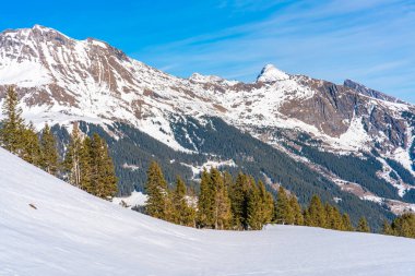 Grindelwald kayak merkezindeki Mannlichen dağından kar İsviçre Alpleri ile kış manzarası. İsviçre 'de kış