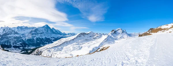 Ampla Vista Panorâmica Dos Alpes Suíços Cobertos Neve Montanha Mannlichen — Fotografia de Stock