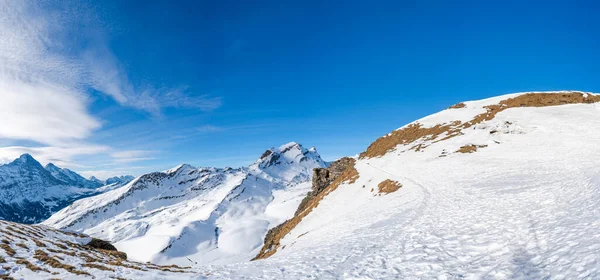 Brett Parnoramiskt Utsikt Över Snötäckta Schweiziska Alperna Från Första Berget — Stockfoto