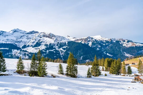 Vista Los Alpes Suizos Cubiertos Nieve Cerca Estación Esquí Wengen — Foto de Stock