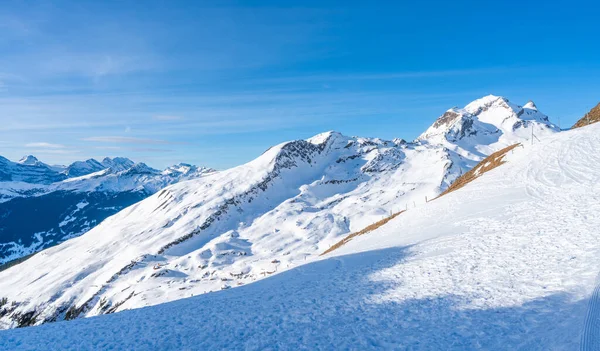 Vista Dos Alpes Suíços Cobertos Neve Primeira Montanha Grindelwald Suíça — Fotografia de Stock