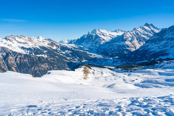 Vista Neve Coberto Alpes Suíços Mannlichen Cimeira Grindelwald Estância Esqui — Fotografia de Stock