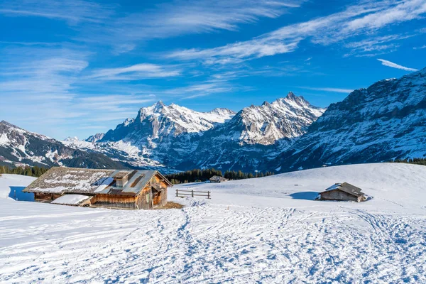 Peisaj Iarnă Zăpadă Alpii Elvețieni Din Muntele Mannlichen Stațiunea Schi — Fotografie, imagine de stoc