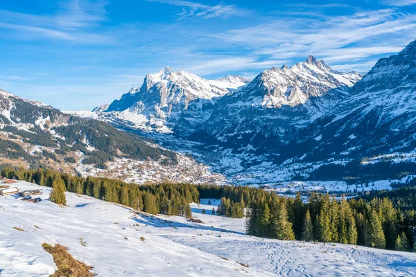 Vedere Grindelwald Înconjurat Zăpadă Acoperite Alpi Muntele Mannlichen Iarna Elveția — Fotografie, imagine de stoc