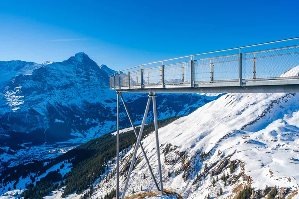 Sviçre Grindelwald Daki Alpler Muhteşem Manzaralı Ilk Dağdaki Uçurum Köprüsü — Stok fotoğraf