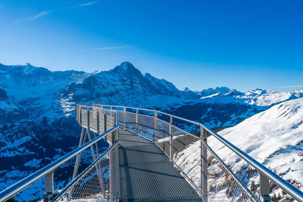 Sviçre Grindelwald Daki Alpler Muhteşem Manzaralı Ilk Dağdaki Uçurum Köprüsü — Stok fotoğraf