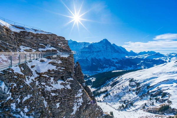 Sviçre Grindelwald Daki Alpler Muhteşem Manzaralı Ilk Dağdaki Uçurum Köprüsü — Stok fotoğraf