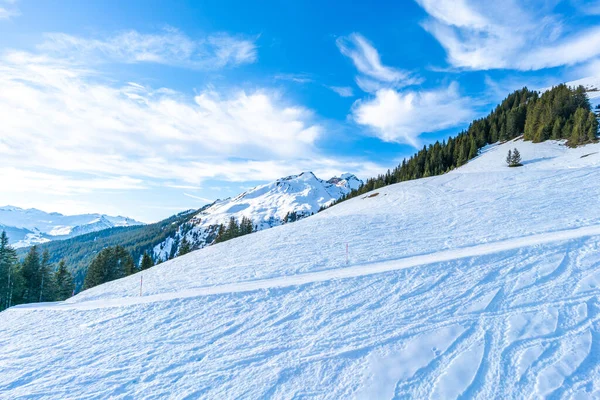 Paisagem Inverno Primeira Montanha Dos Alpes Suíços Grindelwald Suíça — Fotografia de Stock