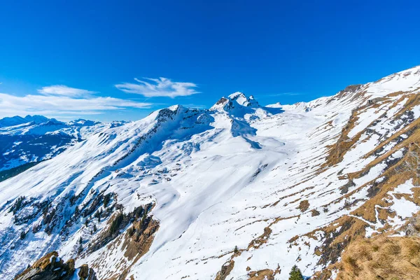 스위스의 그라인델 리조트에 스위스 알프스의 산에서 수있는 눈덮인 산봉우리들의 — 스톡 사진