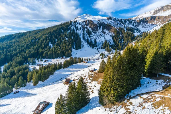 Zimowy Krajobraz Pierwszej Górze Alpach Szwajcarskich Ośrodku Narciarskim Grindelwald Szwajcaria — Zdjęcie stockowe