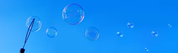 Soap bubbles against blue sky.