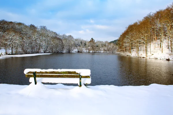 겨울 공원 및 숲 바다 벤치. — 스톡 사진