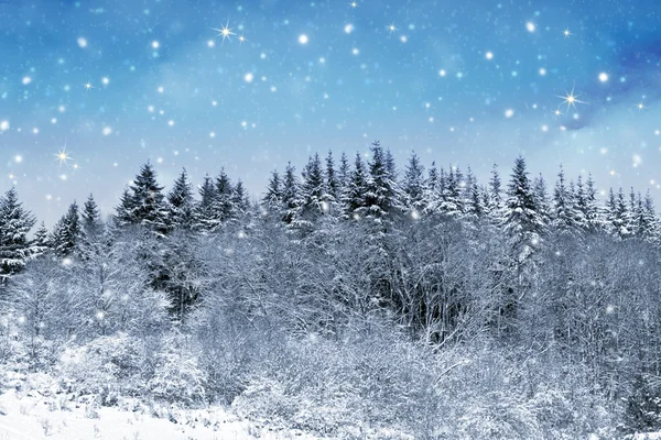 Christmas background with snow and trees. — Stock Photo, Image