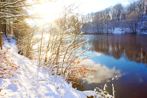 Winter landscape with sunshine, trees and forest lake. — Stock Photo, Image