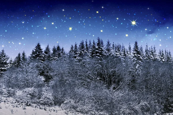 Bellissimo paesaggio invernale notturno in montagna con le stelle . — Foto Stock