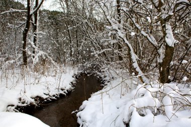 Kış ağaçlar ve su kaynağı.