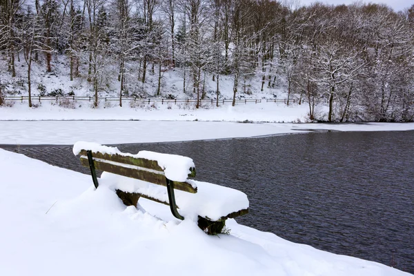 Banco no parque de inverno e mar da floresta . — Fotografia de Stock