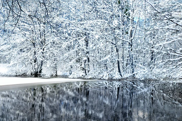 물에 반사에 대 한 겨울 나무. — 스톡 사진