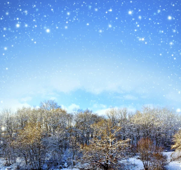 Kerstmis achtergrond met sneeuw en bomen. — Stockfoto