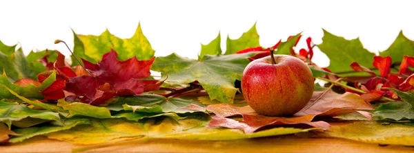 秋天，枫树叶和苹果的背景. — 图库照片
