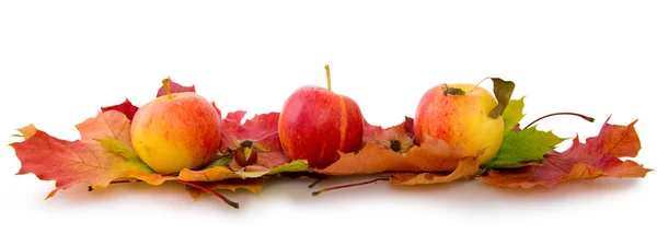 Daun maple musim gugur dan tiga apel . — Stok Foto