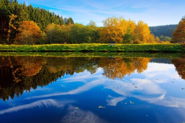 Autumn trees on the coast the lake. — Stock Photo, Image