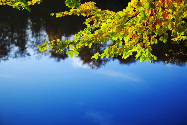 Autunno vista lago e foglie colorate . — Foto Stock