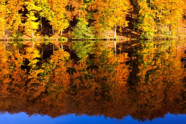 Árvores outonais reflexão na água do lago . — Fotografia de Stock