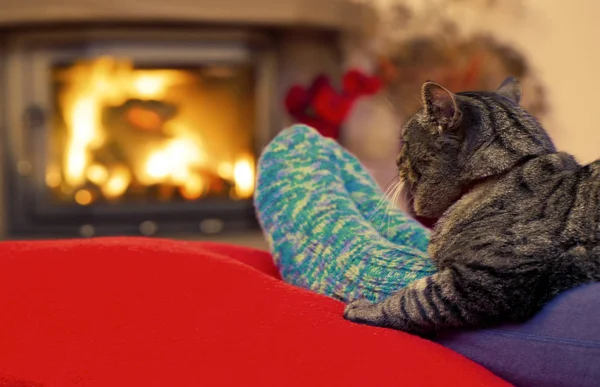 Woman relaxes by warm fire and gray cat . — Stock Photo, Image