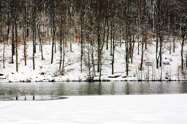 겨울 나무와 호수. — 스톡 사진