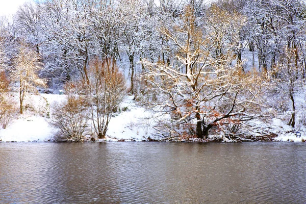 Winter landscape with trees and forest lake. — Stock Photo, Image