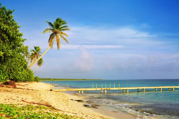 Mare dei Caraibi e palme . — Foto Stock