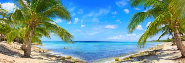 Caribbean sea and palms. — Stock Photo, Image