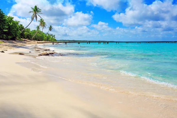 Tropikalnej plaży z palmami i Morze Karaibskie . — Zdjęcie stockowe
