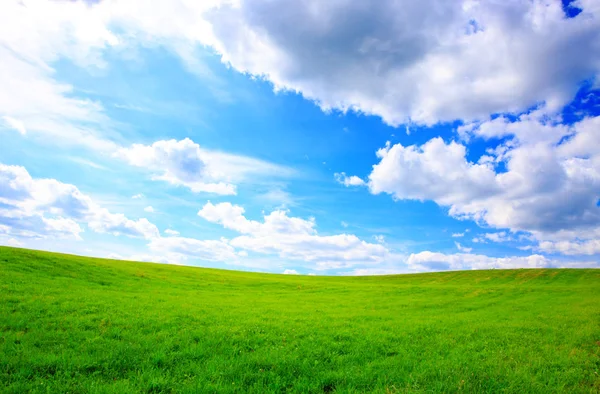 Paysage d'été avec herbe verte et ciel bleu. — Photo