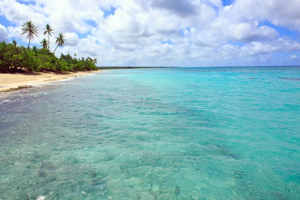 Тропический пляж с пальмами и Карибским морем  . — стоковое фото