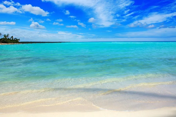 Playa tropical con palmeras y mar Caribe  . —  Fotos de Stock