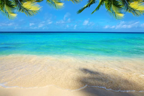 Mar das Caraíbas e céu azul. — Fotografia de Stock