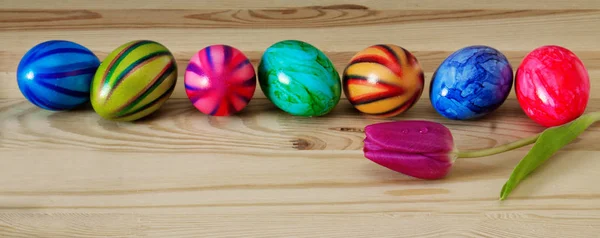 Easter eggs and tulip on wooden planks. — Stock Photo, Image
