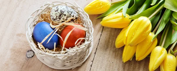 Easter basket with colored eggs and yellow tulips. — Stock Photo, Image