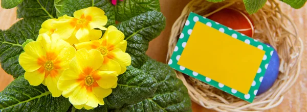 Cesta de Pascua con huevos de colores y onagra . — Foto de Stock