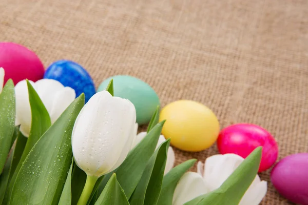 Spring white tulips with easter eggs. — Stock Photo, Image