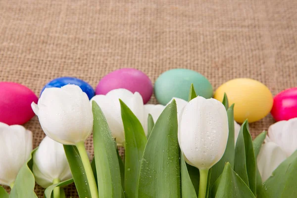 Tulipani bianchi di primavera con uova di Pasqua . — Foto Stock