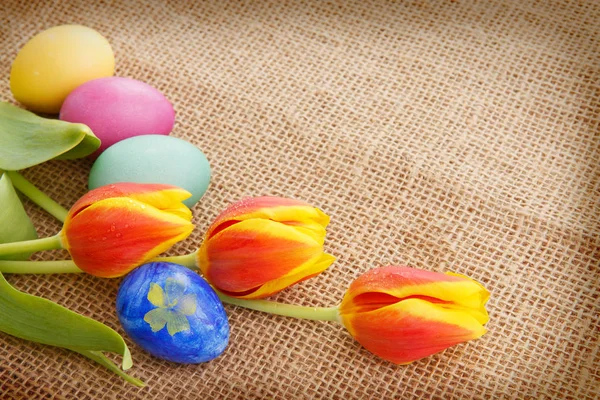 Spring tulips with colorful easter eggs. — Stock Photo, Image