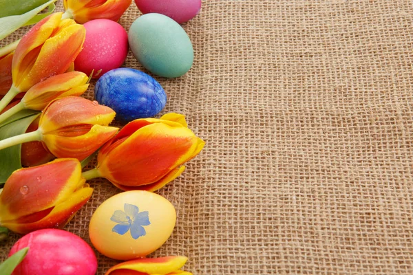 Spring tulips with colorful easter eggs. — Stock Photo, Image