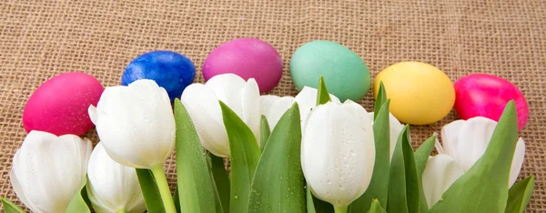 Tulipanes blancos de primavera con huevos de Pascua . —  Fotos de Stock