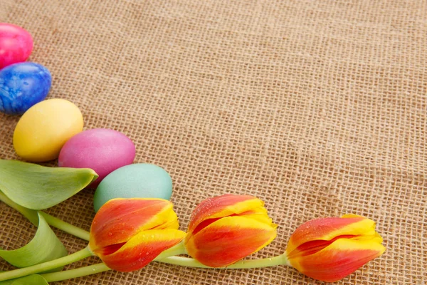 Весняні тюльпани з різнокольоровими великодніми яйцями . — стокове фото