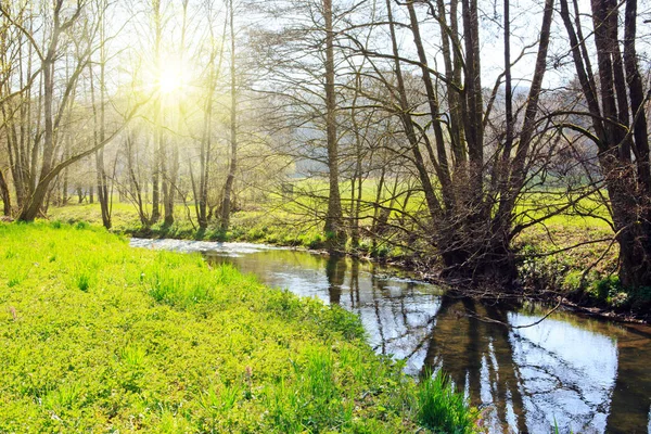 Spring landscape with river and sunshine. — Stock Photo, Image