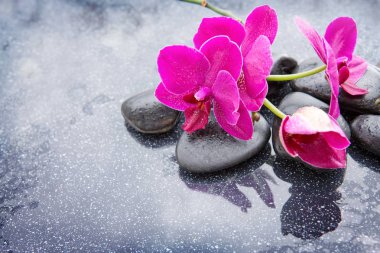 PNK orkide ve siyah taşları kapat.